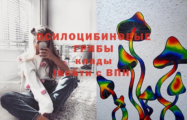 прущие грибы Тобольск