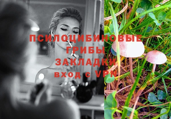 спайс Лагань