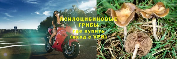 Альфа ПВП Абдулино